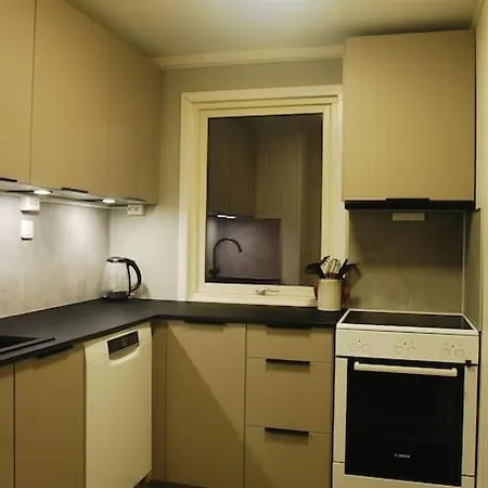 アパート Cozy 3br In Free Wifi トロムソ